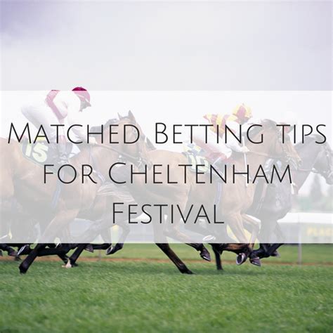 cheltenham matched betting
